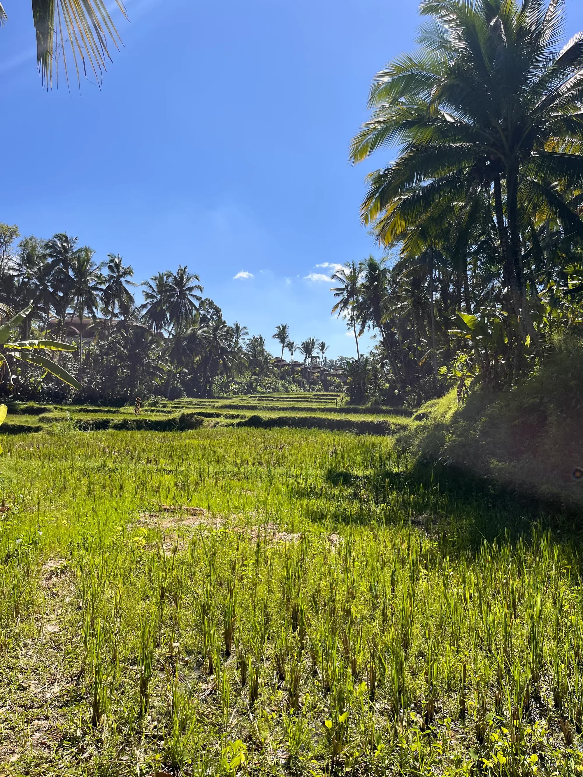 NAVIN landsourcing 3