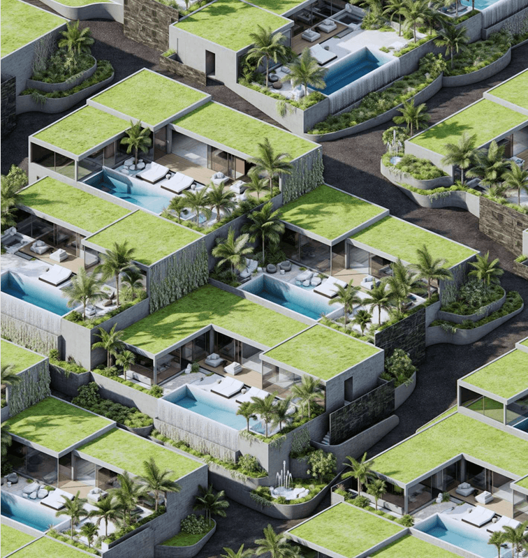 Virgin Oasis — 11